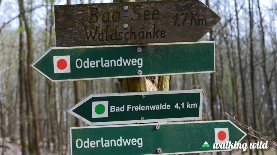 Wegsymbol des Oderlandwegs