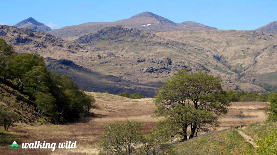 Wandern in den schottischen Highlands