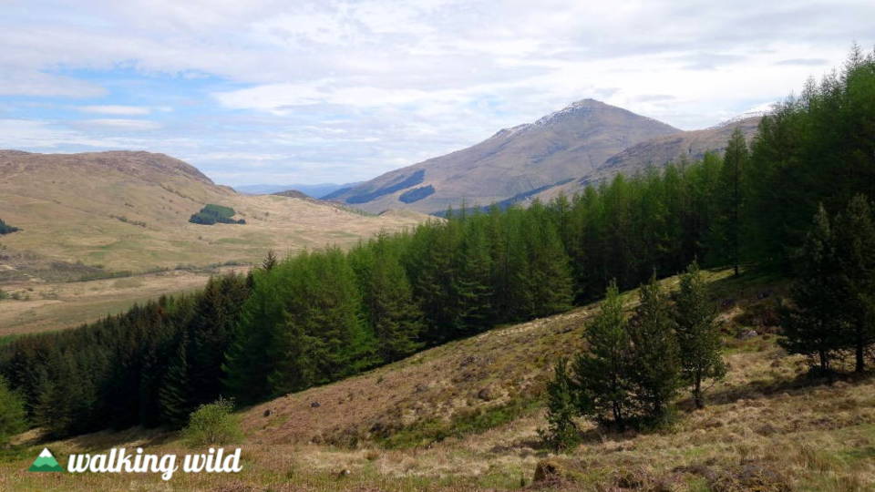 Crianlarich Hills und Caledonian Forest